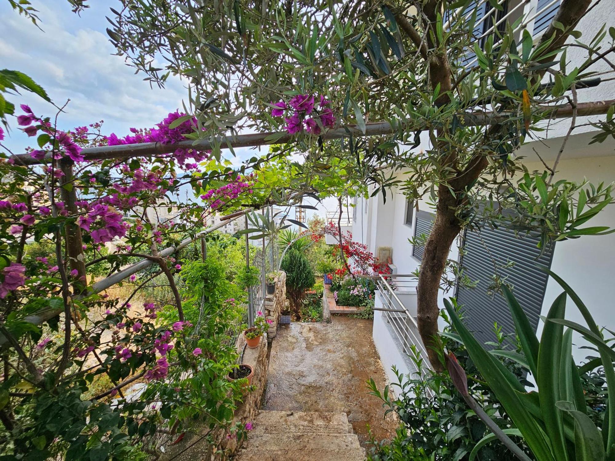 Nora'S Guesthouse Sarandë エクステリア 写真