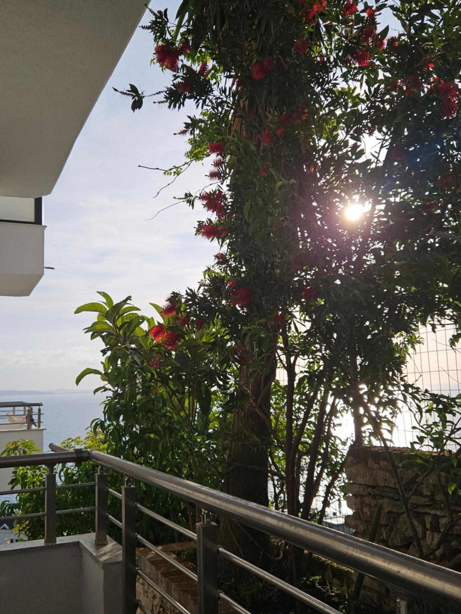 Nora'S Guesthouse Sarandë エクステリア 写真
