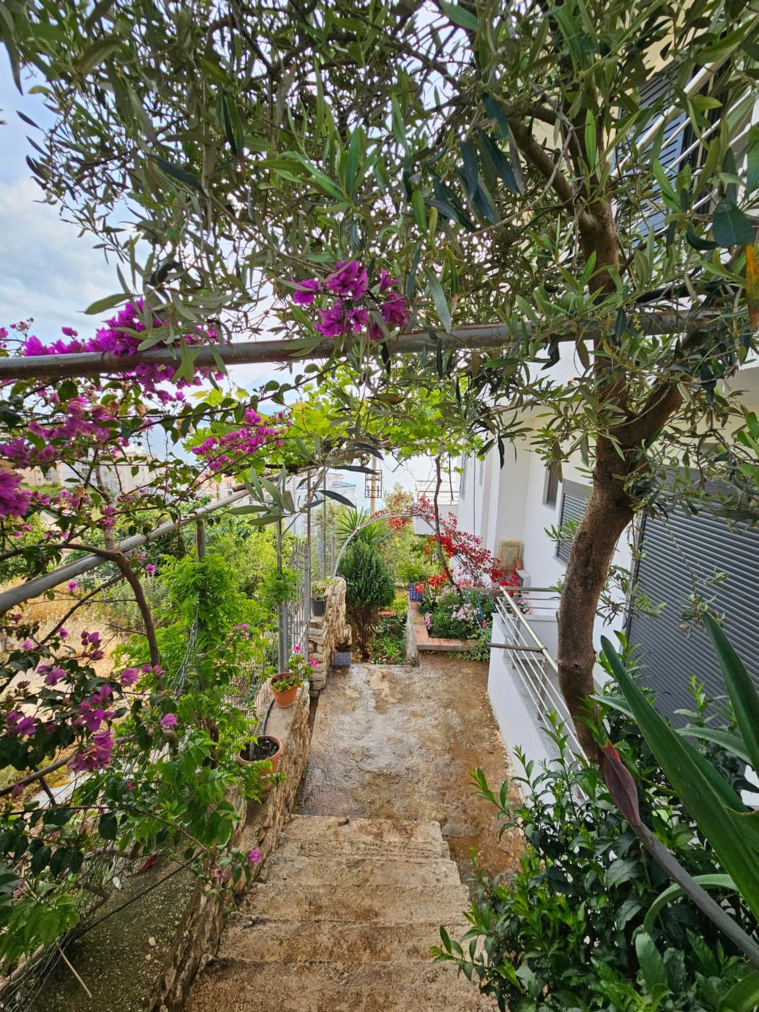 Nora'S Guesthouse Sarandë エクステリア 写真